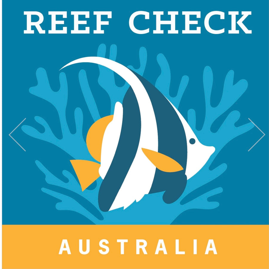 Reef Check Australia - Set 4 (blank inside) Greeting Cards