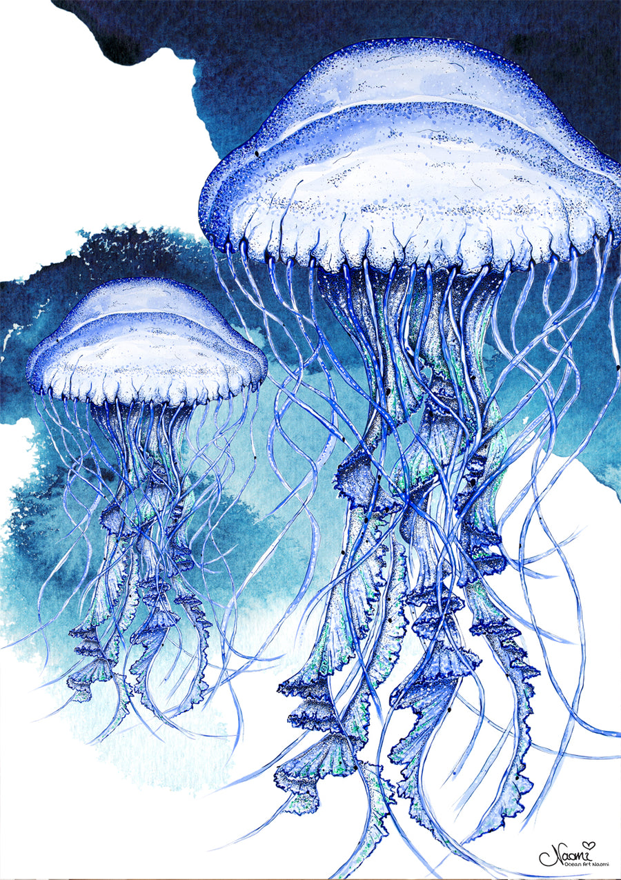 JELLYFISH INK BLUE (TALL)